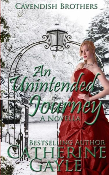 Cover for Catherine Gayle · An Unintended Journey (Pocketbok) (2013)