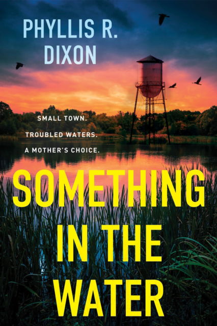 Cover for Phyllis R. Dixon · Something in the Water (Paperback Bog) (2025)