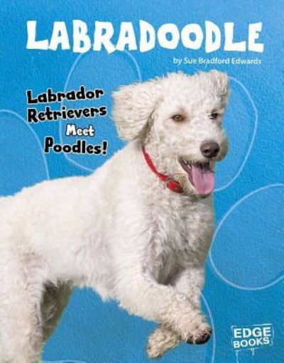 Cover for Sue Bradford Edwards · Labradoodle Labrador Retrievers Meet Poodles! (Hardcover Book) (2019)