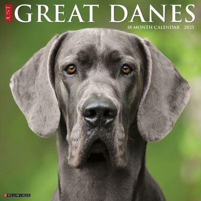 Just Great Danes 2025 12 X 12 Wall Calendar - Willow Creek Press - Merchandise - Willow Creek Press Calendars - 9781549243196 - September 10, 2024