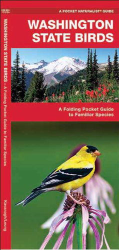 Cover for James Kavanagh · Washington State Birds: a Folding Pocket Guide to Familiar Species (Pocket Naturalist Guide Series) (Pamphlet) [1st edition] (2018)