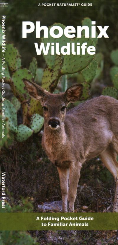 Cover for Waterford Press · Phoenix Wildlife: A Folding Pocket Guide to Familiar Animals (Pamphlet) (2023)