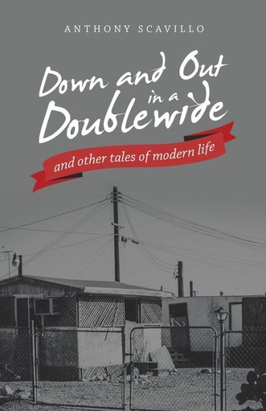 Cover for Anthony Scavillo · Down and Out in a Doublewide and Other Tales of Modern Life (Book) (2022)