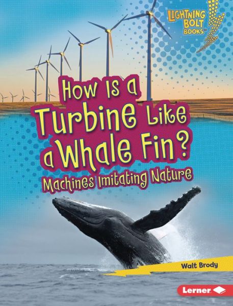 How Is a Turbine Like a Whale Fin? - Walt Brody - Books - Lerner Publications - 9781728404196 - August 1, 2021