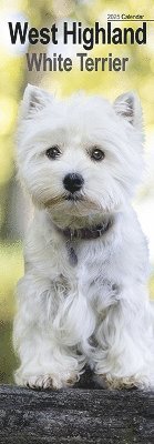 West Highland Terrier Slim Calendar 2025 Dog Breed Slimline Calendar - 12 Month (Kalender) (2024)