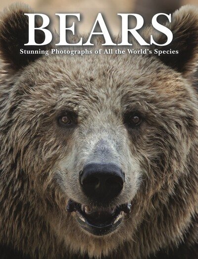 Cover for Tom Jackson · Bears - Animals (Hardcover Book) (2020)