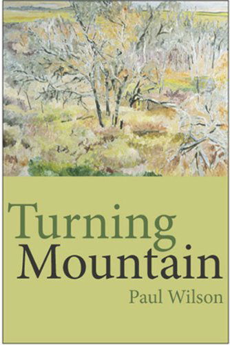 Turning Mountain - Paul Wilson - Books - Wolsak and Wynn Publishers Ltd. - 9781894987196 - September 1, 2007