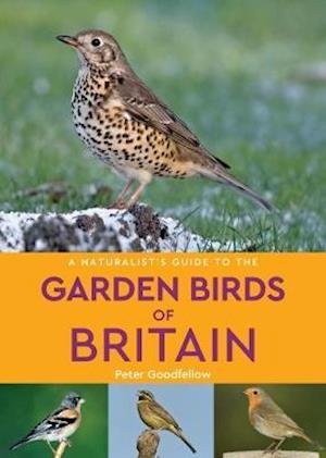 A Naturalist's Guide to the Garden Birds of Britain (2nd edition) - Naturalist's Guide - Peter Goodfellow - Böcker - John Beaufoy Publishing Ltd - 9781912081196 - 25 april 2019
