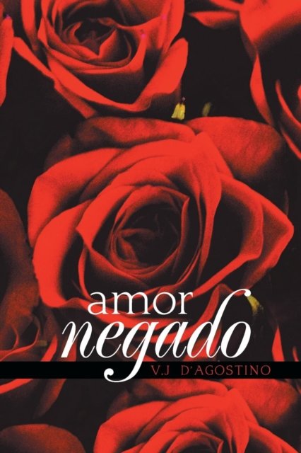 Cover for V J D' Agostino · Amor Negado (Paperback Book) (2018)