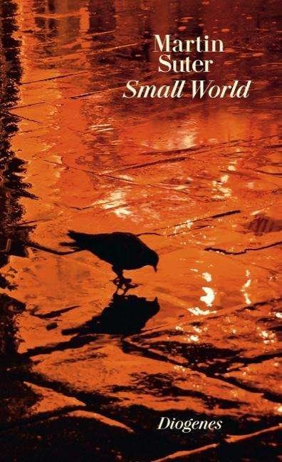 Cover for Martin Suter · Detebe.26119 Suter:small World (Bok)