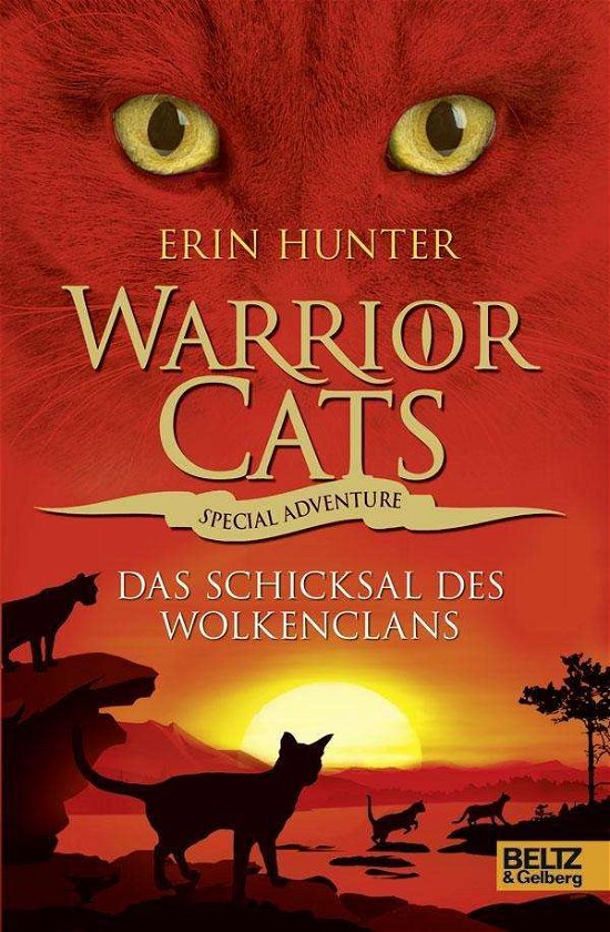 Cover for Hunter · Warrior Cats,Spec.,Schicksal d.W (Buch)