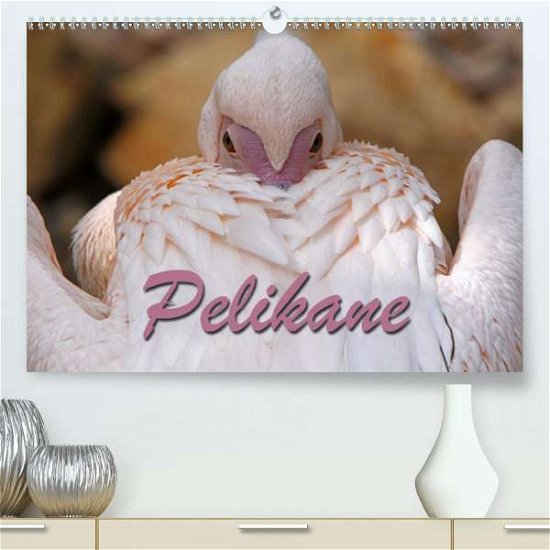 Cover for Berg · Pelikane (Premium-Kalender 2020 DI (Buch)