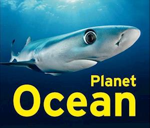 Planet Ocean - Jeanette Schmitz - Books - Klartext - 9783837526196 - March 18, 2024