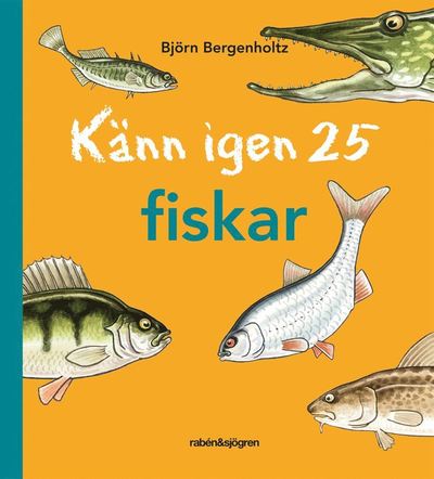 Cover for Björn Bergenholtz · Känn igen 25: Känn igen 25 fiskar (PDF) (2017)