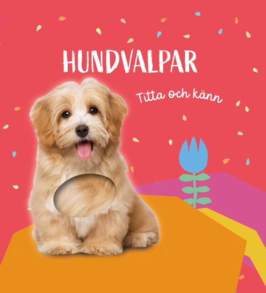 Titta och känn: Hundvalpar -  - Książki - Tukan Förlag - 9789180383196 - 15 lipca 2024