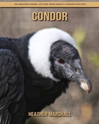 Cover for Heather Marshall · Condor: An Amazing Animal Picture Book about Condor for Kids (Taschenbuch) (2021)