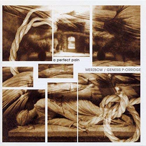 Cover for Merzbow / Genesis Breyer P-orridge · A Perfect Pain (CD) (2018)