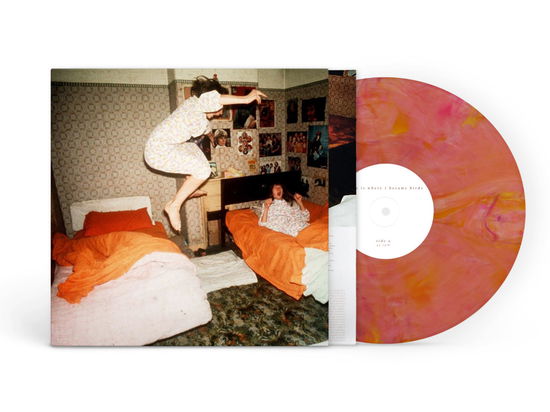 Cover for Home Is Where · I Became Birds (Vinyl Guava Blend Coloured) (LP) (2025)