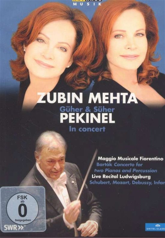Cover for Methapekinel · Guhersuher Pekinel Concert (DVD) (2014)