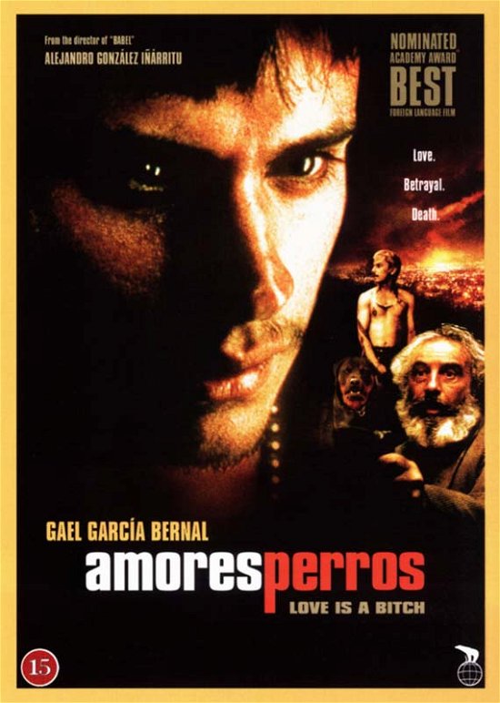 Cover for Amores Perros [dvd] (DVD) (2023)
