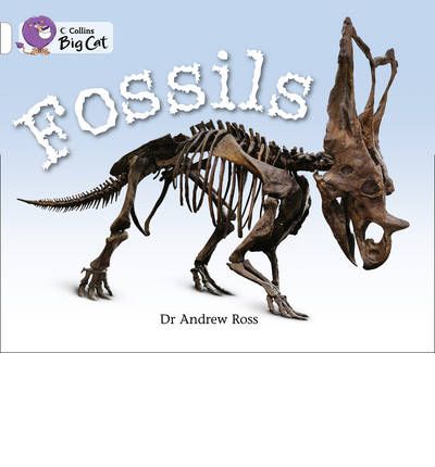 Fossils: Band 10/White - Collins Big Cat - Dr Andrew Ross - Books - HarperCollins Publishers - 9780007336197 - September 1, 2010
