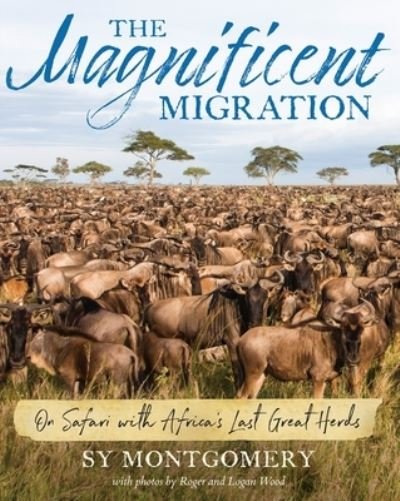 Cover for Sy Montgomery · Magnificent Migration: On Safari with Africa's Last Great Herds (Pocketbok) (2024)