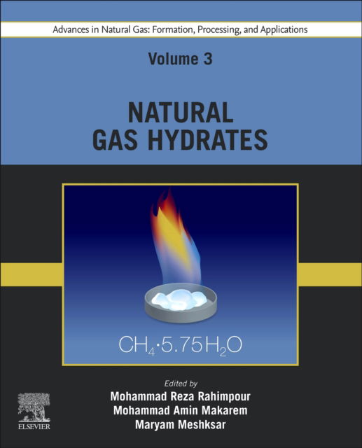Cover for Advances in Natural Gas: Formation, Processing, and Applications. Volume 3: Natural Gas Hydrates (Paperback Book) (2024)