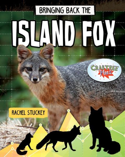 Cover for Rachel Stuckey · Bringing Back the Island Fox (Hardcover Book) (2020)