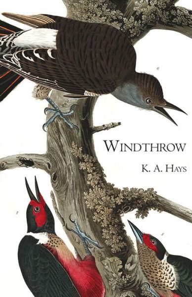 Cover for K. A. Hays · Windthrow (Paperback Book) (2017)