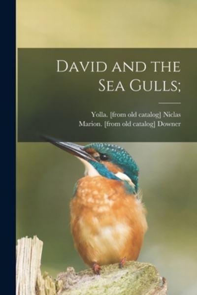 Cover for Yolla Niclas · David and the Sea Gulls; (Paperback Book) (2021)