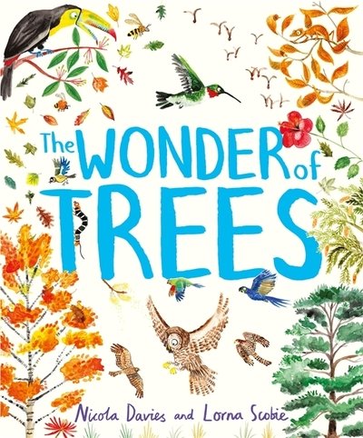 Cover for Nicola Davies · The Wonder of Trees (Innbunden bok) (2019)