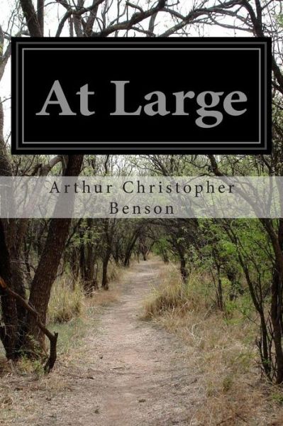 At Large - Arthur Christopher Benson - Bøger - CreateSpace Independent Publishing Platf - 9781500128197 - 8. juni 2014