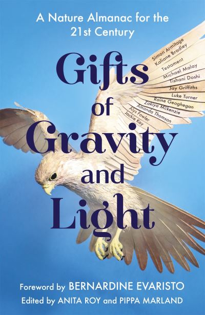 Cover for Anita Roy · Gifts of Gravity and Light (Paperback Book) (2022)