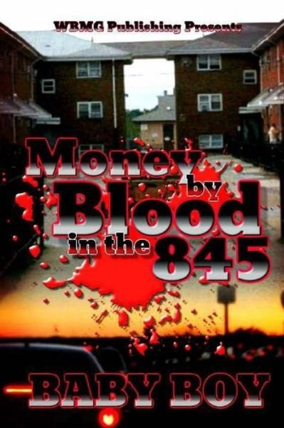 Cover for Baby Boy · Money By Blood In The 845 (Paperback Bog) (2016)