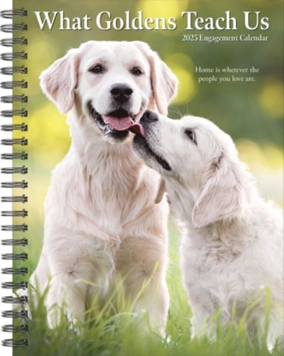 Willow Creek Press · What Goldens Teach Us 2025 6.5 X 8.5 Engagement Calendar (Calendar) (2024)