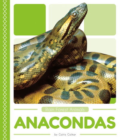 Cover for Golriz Golkar · Rain Forest Animals: Anacondas (Paperback Book) (2018)