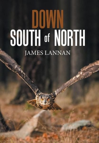 James Lannan · Down South of North (Innbunden bok) (2019)