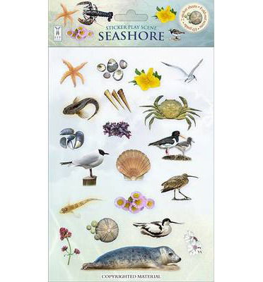 Seashore - Sticker Play Scenes - Caz Buckingham - Książki - Fine Feather Press Ltd - 9781908489197 - 1 maja 2014