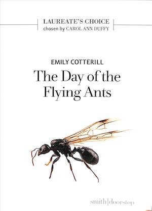 Cover for Emily Cotterill · The Day of the Flying Ants (Pocketbok) (2019)