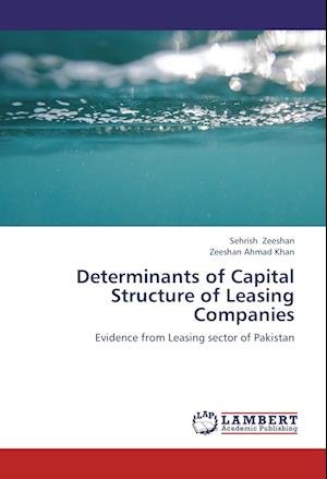 Cover for Zeeshan · Determinants of Capital Structu (Buch)