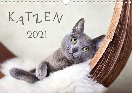 Cover for Schwarz · Katzen 2021 (Wandkalender 2021 (Book)