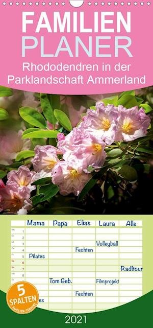 Cover for N · Rhododendren in der Parklandschaft Am (Bok)
