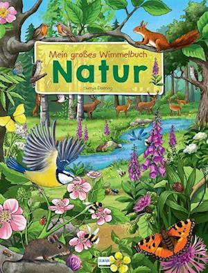 Mein großes Wimmelbuch Natur - Svenja Doering - Books - Ullmann Medien - 9783741527197 - August 10, 2023