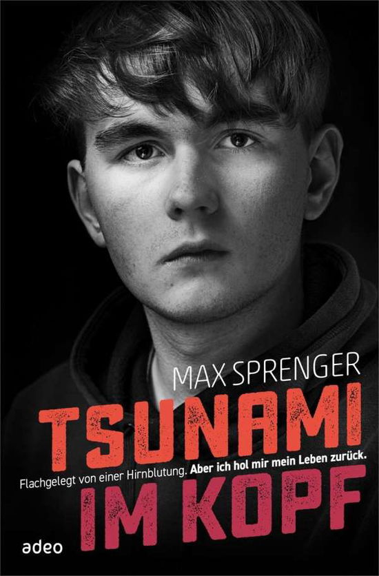 Cover for Sprenger · Tsunami im Kopf (Book)