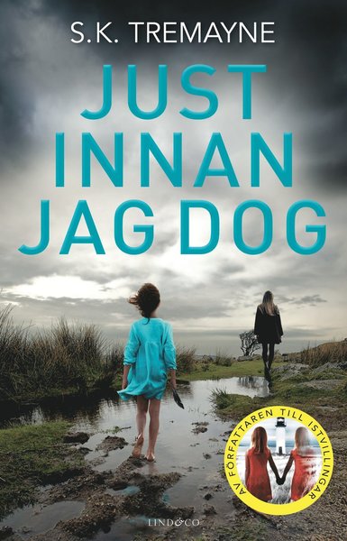 Cover for S. K. Tremayne · Just innan jag dog (Paperback Book) (2020)