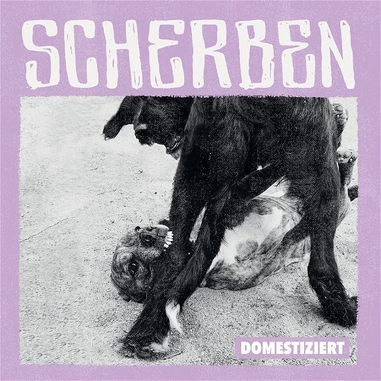 Cover for Scherben · Domestiziert (LP) (2022)