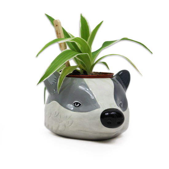 Cover for P.Derive · HARRY POTTER - Hufflepuff - Plant Pot (MERCH)