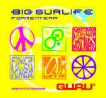 Cover for Various Artists · Big Sur Life Formentera (CD)