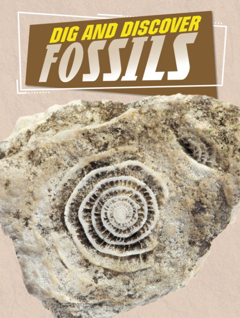 Cover for Anita Nahta Amin · Dig and Discover Fossils - Rock Your World (Paperback Book) (2024)