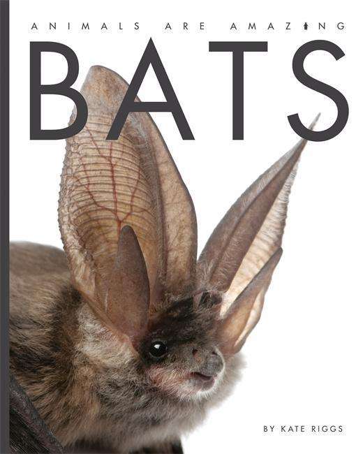 Cover for Kate Riggs · Animals Are Amazing: Bats - Animals Are Amazing (Hardcover Book) [Illustrated edition] (2015)